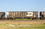 BN 529596 